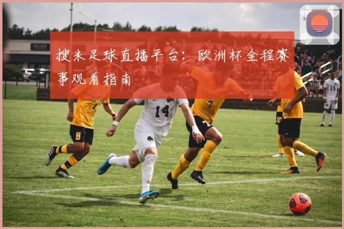 搜米足球直播平台：欧洲杯全程赛事观看指南