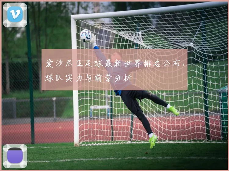 爱沙尼亚足球最新世界排名公布，球队实力与前景分析